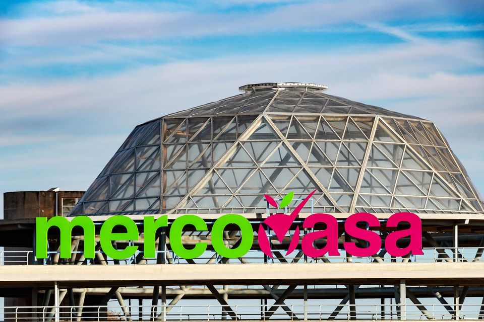 300800086 493870039412838 6676482765530418067 n