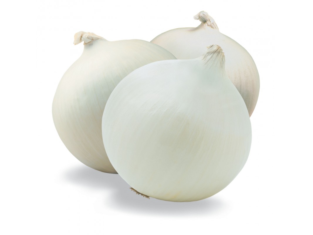 Cebolla blanca 1067x800 1