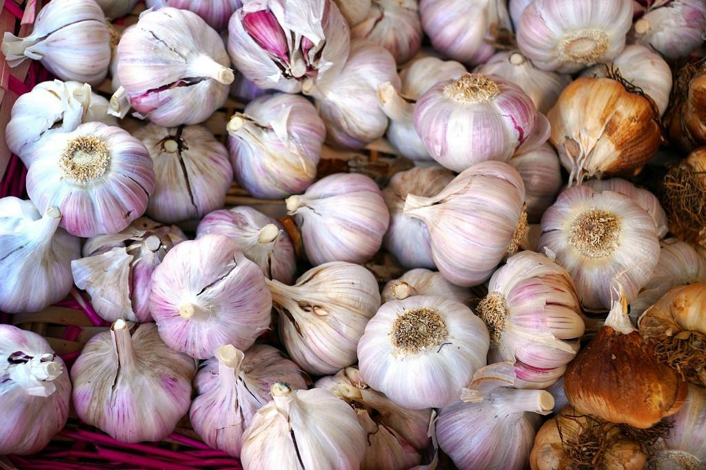 de1823ef 3558 4177 9786 231ac333d057