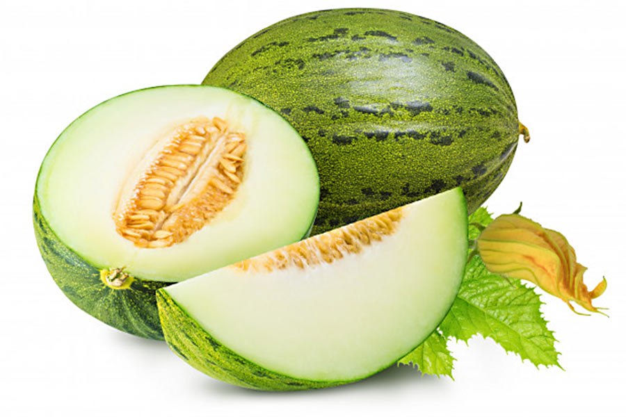 melon verde ultima foto web ok